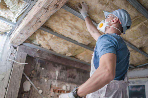 Best Cellulose Insulation in Mayfield, OH