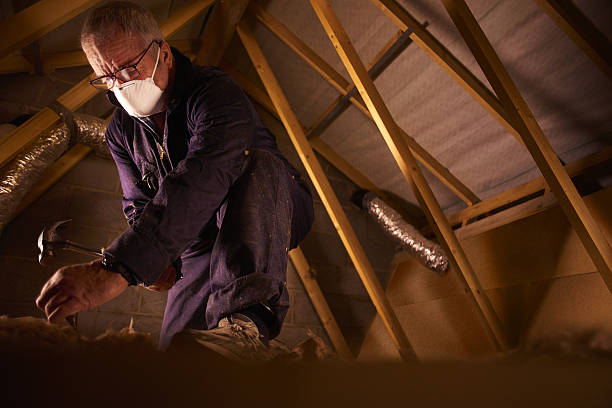 Best Specialized Insulation Services in Mayfield, OH